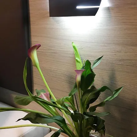 Hotel Glinde فندق